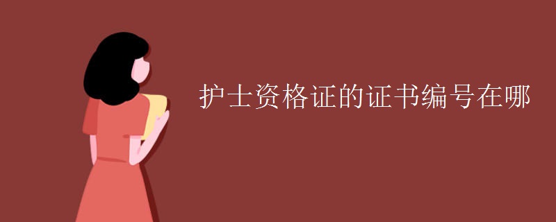 護(hù)士資格證的證書編號在哪